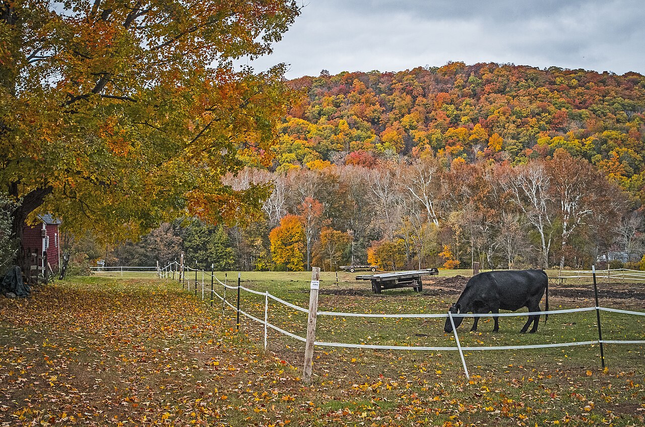 Autumn in Kent, Connecticut — Litchfield County farmland and hills